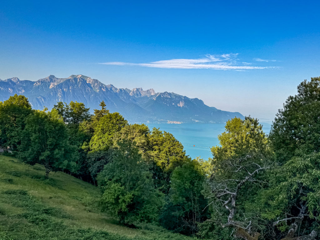 Vue du Lac Léman depuis Caux